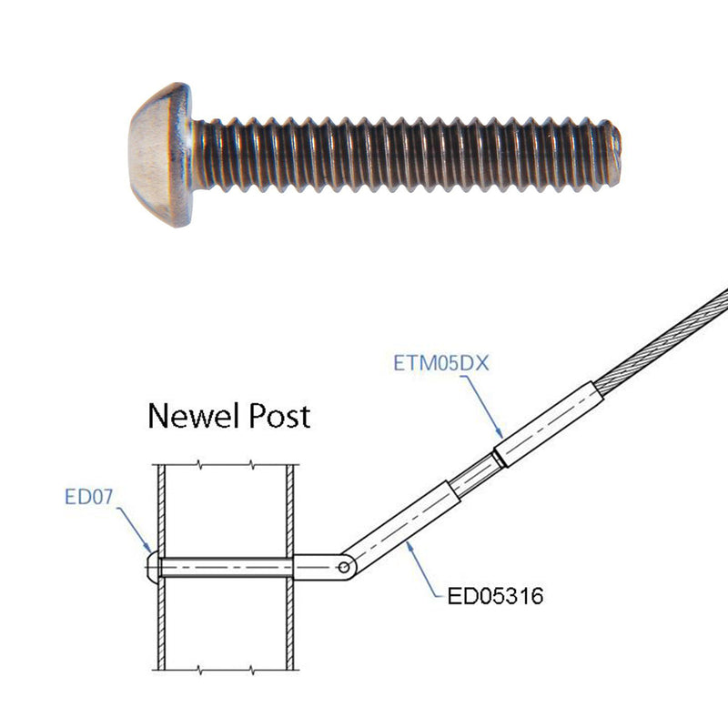 Stainless Steel Rounded Head Screw M6